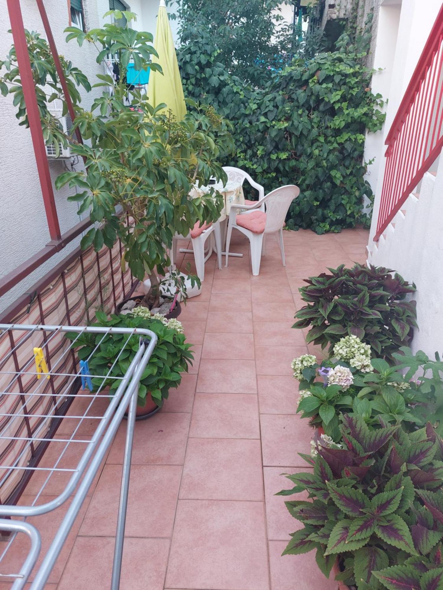 מאקרסקה Vila Magdalena מראה חיצוני תמונה